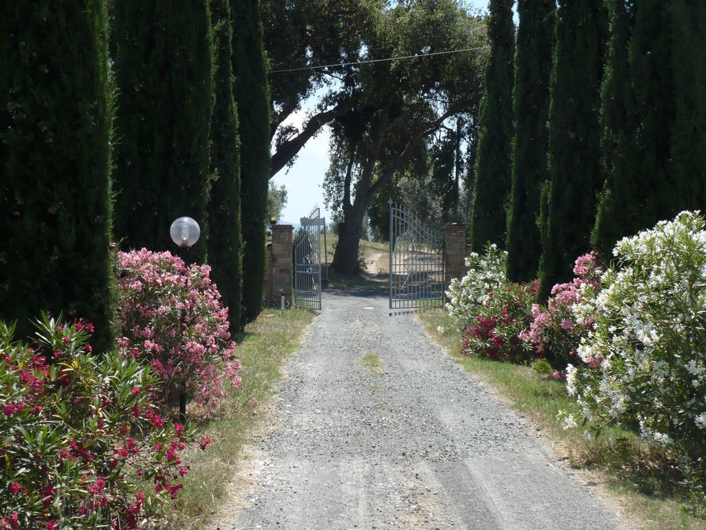 La Sassetta Vila Bibbona Exterior foto